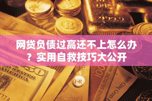 武汉网贷负债过高还不上怎么办?实用自救技巧大公开 武汉网贷负债过高还不上怎么办?实用自救技巧大公开